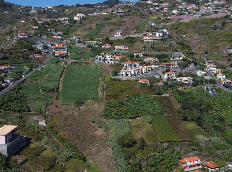 venda-terreno-pedregal-camara-de-lobos-atlantico-pro-real-estate-madeira