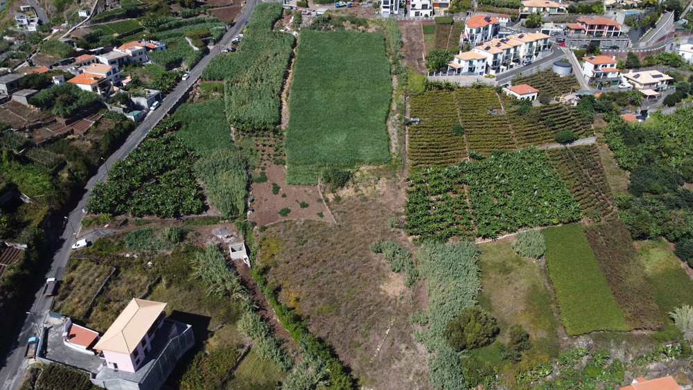 venda-terreno-pedregal-camara-de-lobos-atlantico-pro-real-estate-madeira